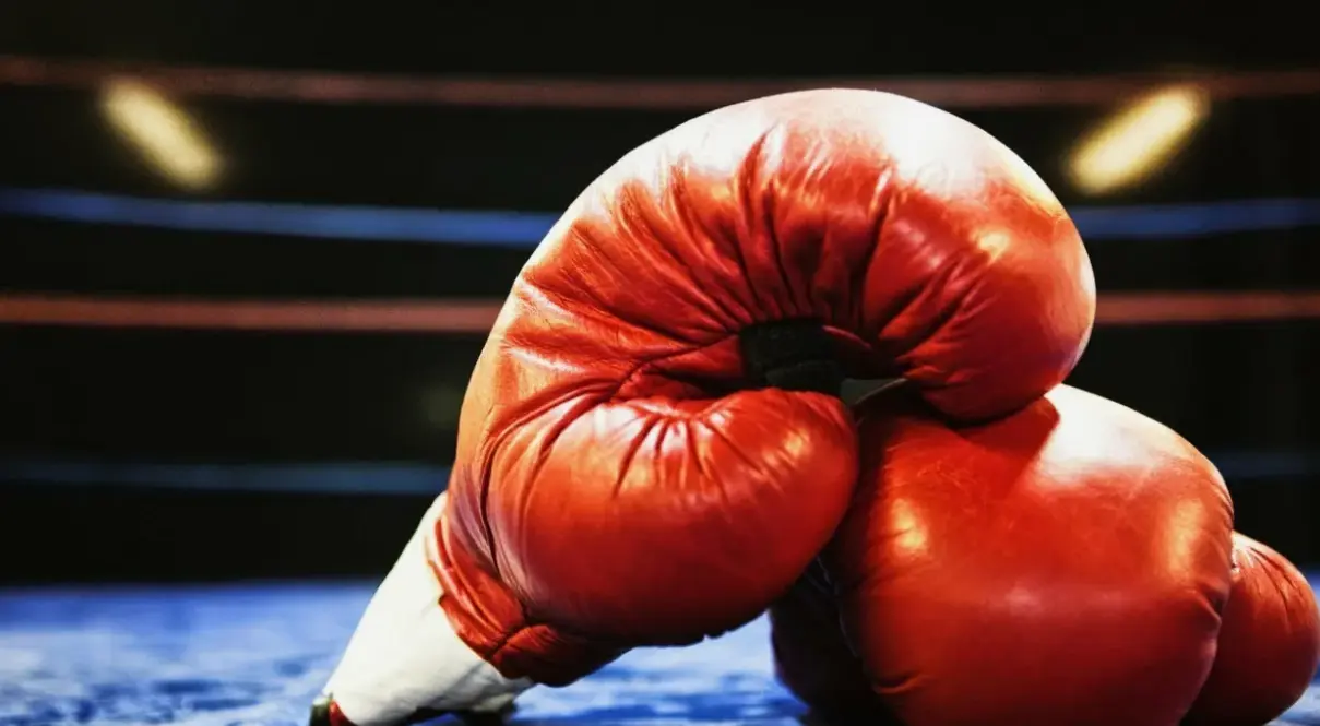 Boxing Line in 1Win and 1xbet Comprehensive Analysis of Betting Options